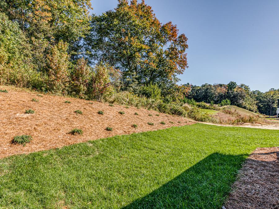 Muirfield Transitional